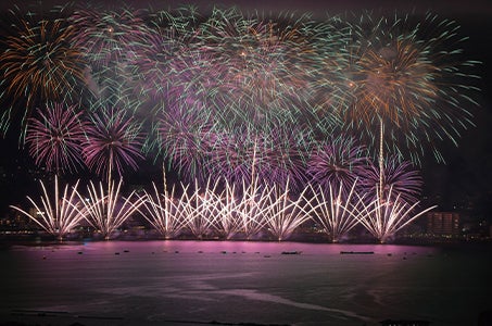 【ホテルふじ指定】湖上桟橋イス席利用諏訪湖祭湖上花火大会2026と巨峰もぎ取り食べ放題2日間2